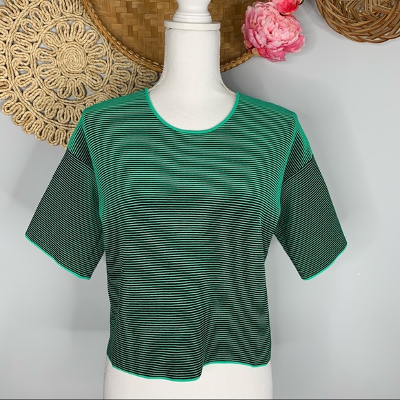 Alexander Wang Tops - Alexander Wang Ribbed Knit Boxy T-Shirt Size Small Green Black Short Sleeve Crop